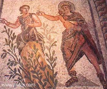 Apollo & Daphne | Greco-Roman mosaic C2nd-3rd A.D. | Antakya Museum