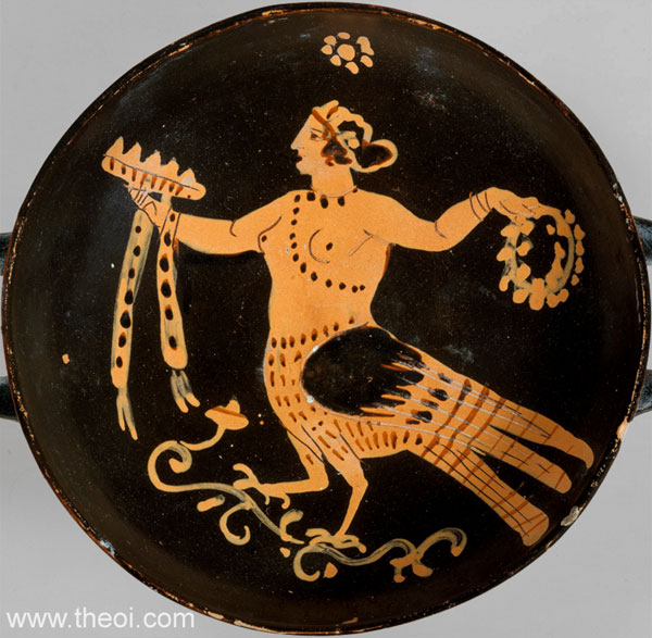 siren greek mythology bird